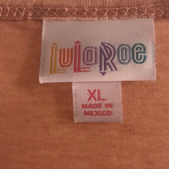 Light pink/mauve colored Lularoe Irma - Picture 4 of 4